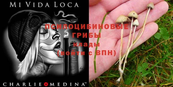 ешки Алзамай