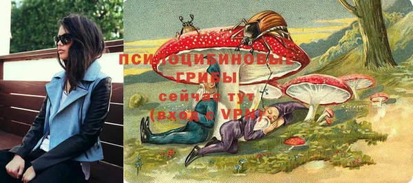 ешки Алзамай