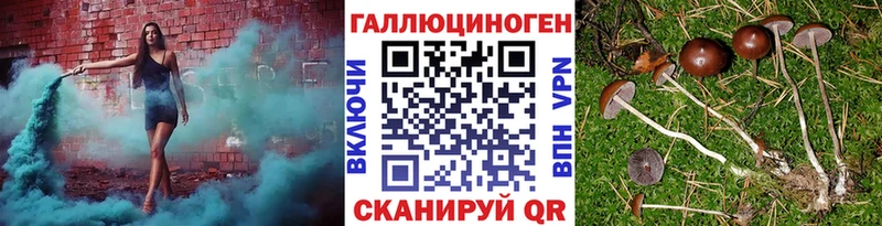Псилоцибиновые грибы Psilocybe  мориарти телеграм  Плавск  продажа наркотиков 